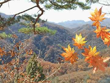 苹果在英国取消云数据加密功能